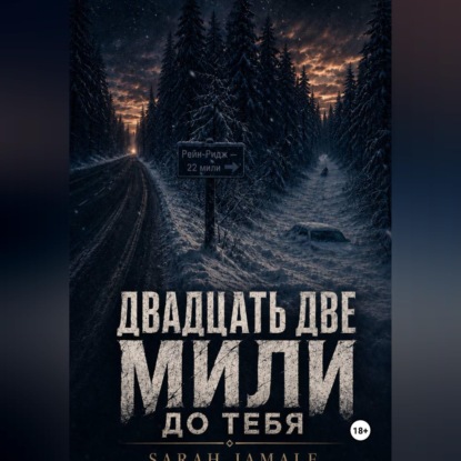 Аудиокнига «Двадцать две мили до тебя», SARAH JAMALE