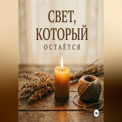 Аудиокнига «Свет, который остаётся», Дина Владимирова