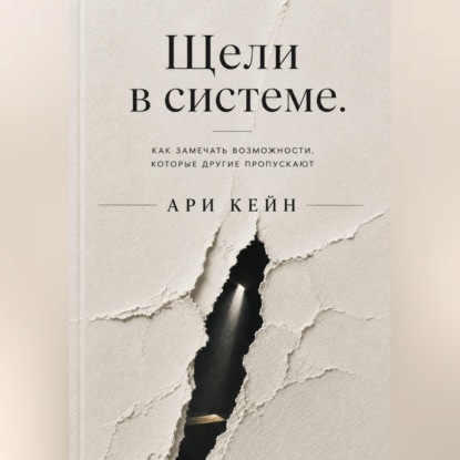 Аудиокнига «Щели в системе. Как замечать возможности, которые другие пропускают», Ари Кейн