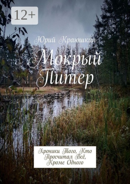 Мокрый Питер. Хроники того, кто просчитал всё, кроме одного