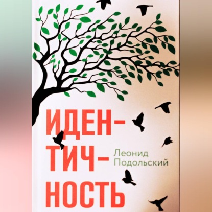 Аудиокнига «Идентичность», Леонид Подольский