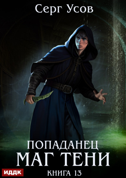 Попаданец. Маг Тени. Книга 13