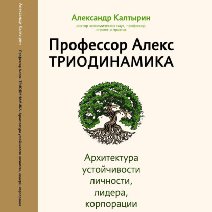 Профессор Алекс. Триодинамика. Архитектура устойчивости личности, лидера и корпорации