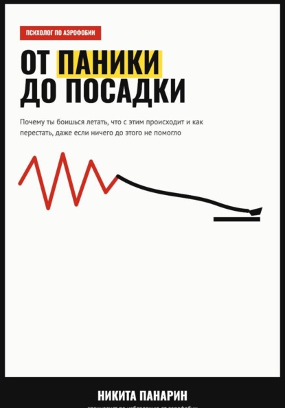 От паники до посадки