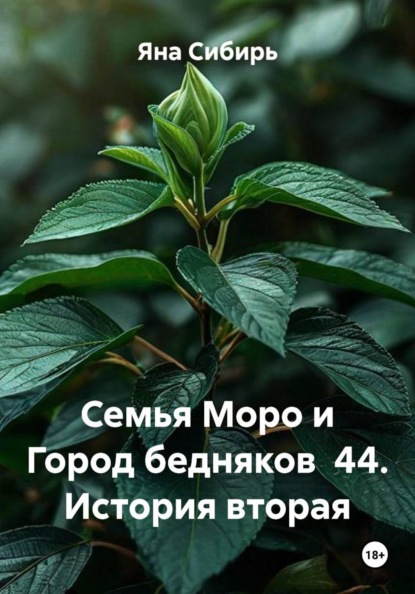 Семья Моро и Город бедняков  44. История вторая