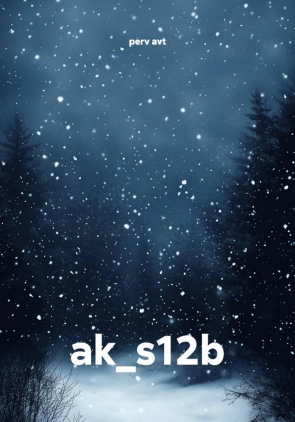 ak_s12b