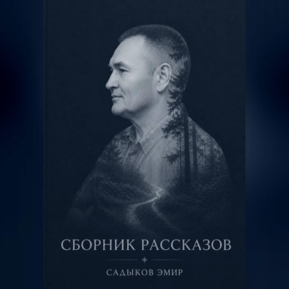 Аудиокнига «СБОРНИК РАССКАЗОВ», Эмир Садыков