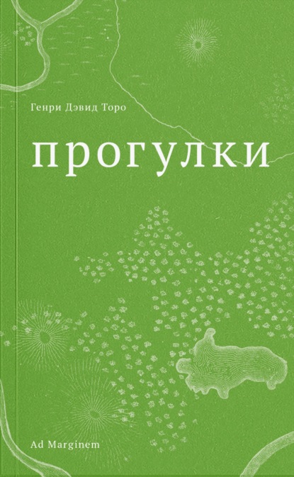 Прогулки