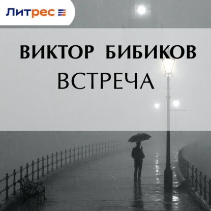 Аудиокнига «Встреча», Виктор Иванович Бибиков