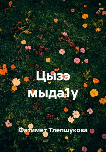 Цызэ мыда1у