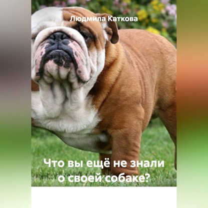 Что вы ещё не знали о своей собаке?