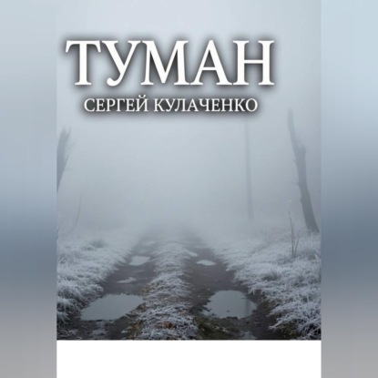 Аудиокнига «Туман», Сергей Кулаченко