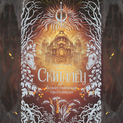 Аудиокнига «Скиталец. Божественные проповеди», Анастасия Князь