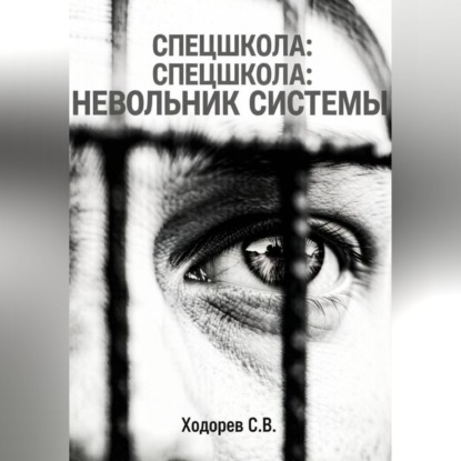 Аудиокнига «Спецшкола. Невольник системы», Сергей Ходорев