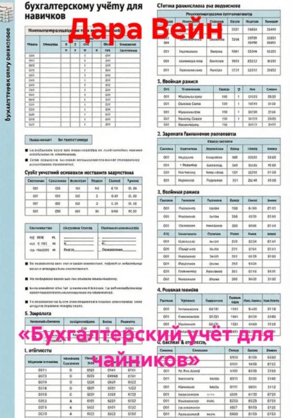 «Бухгалтерский учёт для чайников»