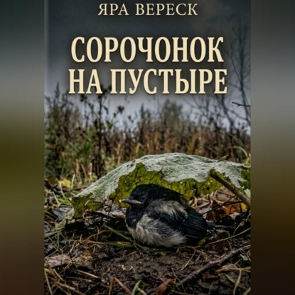 Аудиокнига «Сорочонок на пустыре», Яра Вереск