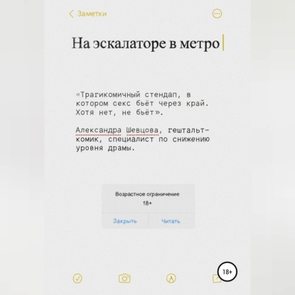 Аудиокнига «На эскалаторе в метро», Александра Сергеевна Шевцова