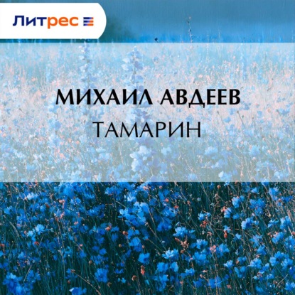 Аудиокнига «Тамарин», Михаил Васильевич Авдеев