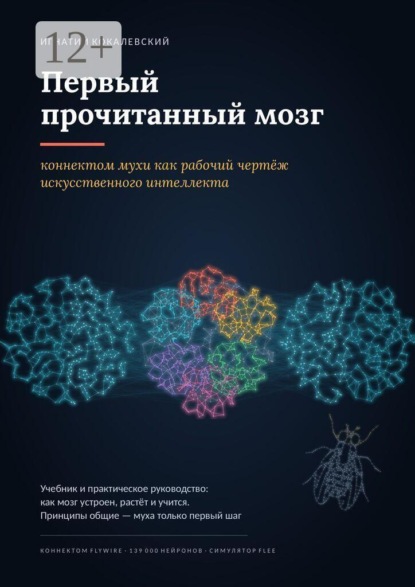 Первый прочитанный мозг. Коннектом мухи как рабочий чертёж искусственного интеллекта