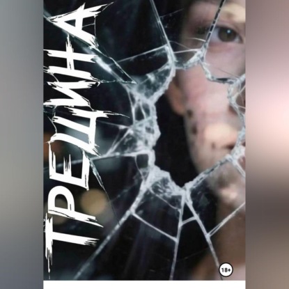 Аудиокнига «Трещина», Сергей Ходорев
