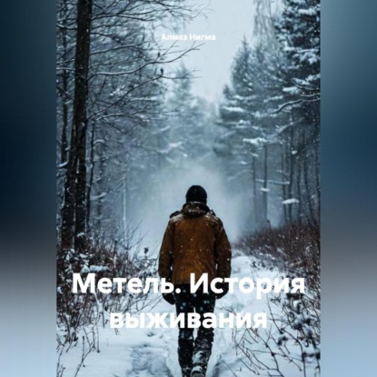 Аудиокнига «Метель. История выживания», Алмаз Нигма