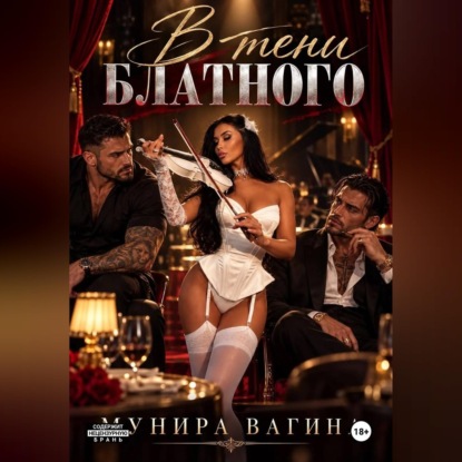Аудиокнига «В тени блатного», Мунира Вагина