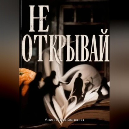 Аудиокнига «Не открывай», Алина Сулейманова
