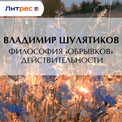 Аудиокнига «Философия «обрывков» действительности», Владимир Михайлович Шулятиков