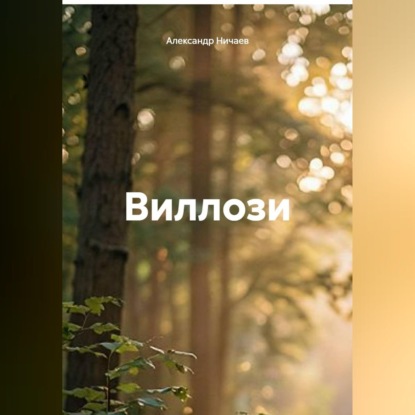 Аудиокнига «Виллози», Александр Васильевич Ничаев