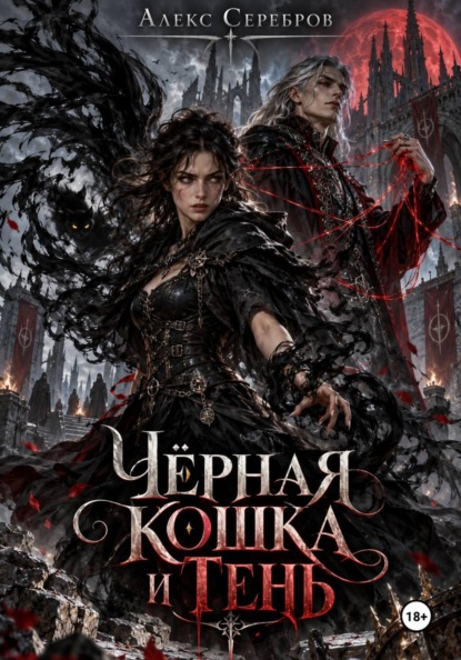 Чёрная кошка и тень