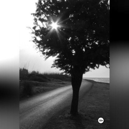 Аудиокнига «Лучшие годы», Борис Колесов