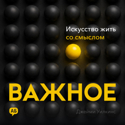 Аудиокнига «Важное», Джейми Уилкинс