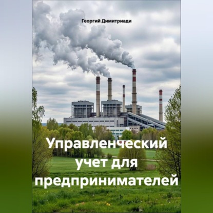 Аудиокнига «Управленческий учет для предпринимателей», Георгий Димитриади