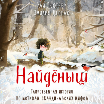Аудиокнига «Найденыш», Кай Люфтнер