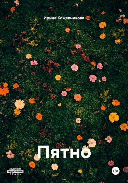 Пятно