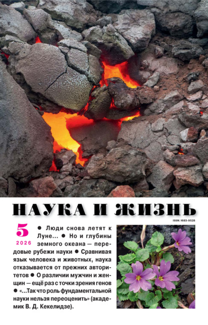 Наука и жизнь №05/2026