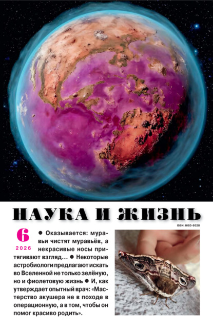 Наука и жизнь №06/2026