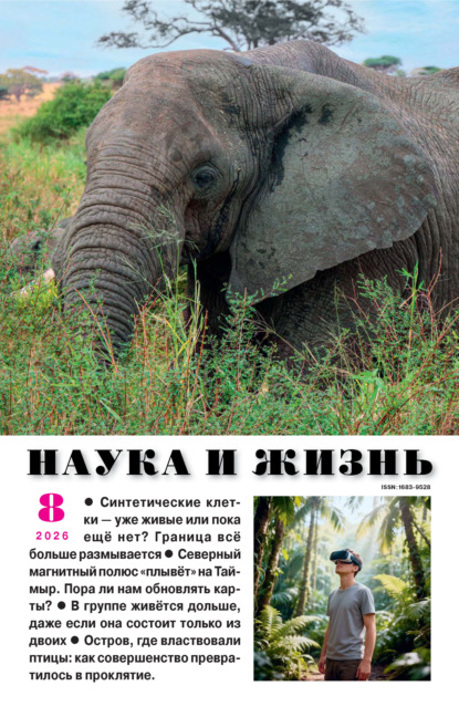 Наука и жизнь №08/2026