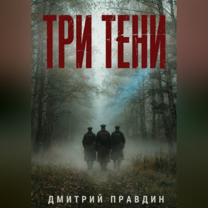 Аудиокнига «Три тени», Дмитрий Правдин