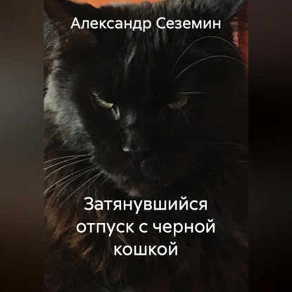Аудиокнига «Затянувшийся отпуск с черной кошкой», Александр Сеземин