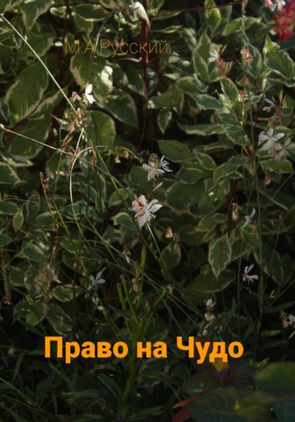 Право на чудо