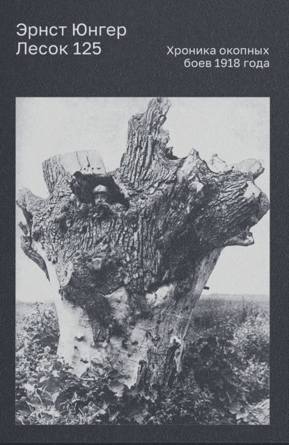 Лесок 125. Хроника окопных боев 1918