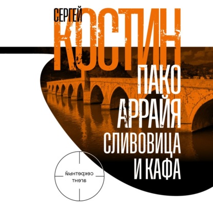 Аудиокнига «Пако Аррайя. Сливовица и кафа», Сергей Костин