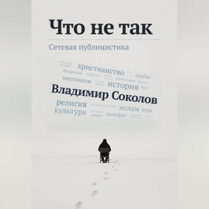 Аудиокнига «Что не так», Владимир Соколов