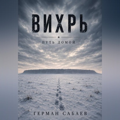 Аудиокнига «Вихрь. Путь домой», Герман Сабаев