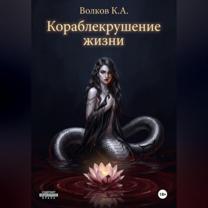 Аудиокнига «Кораблекрушение жизни», Кирилл Волков