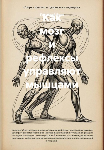 Как мозг и рефлексы управляют мышцами
