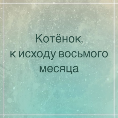 Котёнок, к исходу восьмого месяца