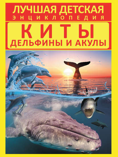 Киты, дельфины и акулы
