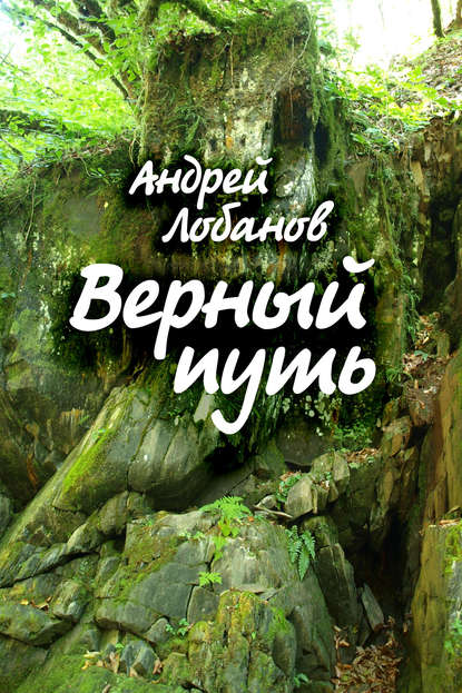 Андрей Лобанов — Верный путь